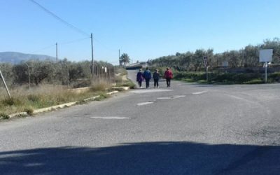 Mejora de más de 300 caminos de 80 municipios de la provincia de Alicante