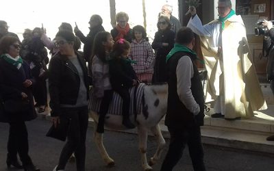 Sax celebrará San Antón, el día ‘grande’ para los animales en su edición de 2023