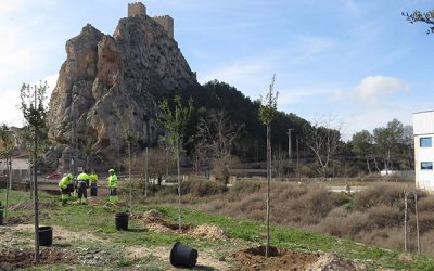 Paralizada la actividad no esencial del 30 de marzo al 9 de abril por el coronavirus
