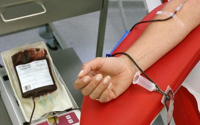 Datos de la donación de sangre en el mes de junio en Sax