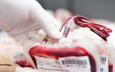 Estupenda participación en Sax en la ultima donación de sangre del año
