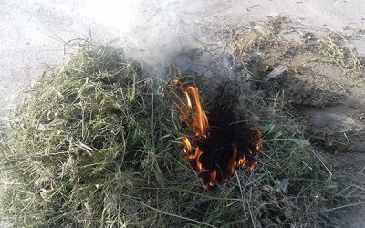 Comienza en Sax el periodo de quema de podas y restos vegetales con autorización previa