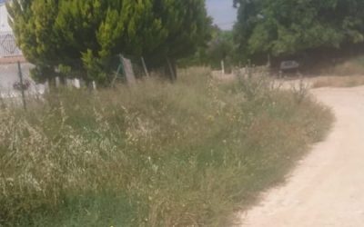La Diputación destina más de 600.000 euros a la mejora del entorno natural, la esterilización de colonias de gatos y el control de dípteros en la provincia