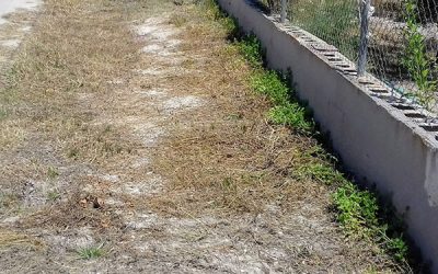 La Diputación invierte 900.000 euros en la reparación y conservación de caminos de los pequeños municipios