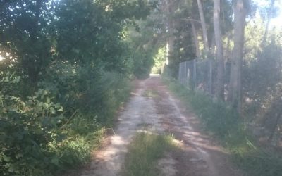 La Diputación aumenta un 60%, hasta los 400.000 euros, las ayudas para prevenir incendios forestales