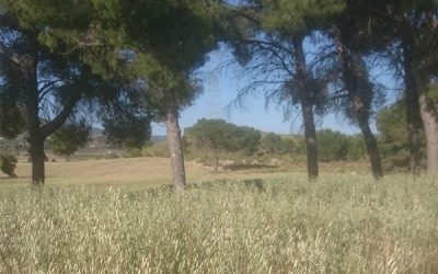 La Diputación invierte 120.000 euros en la mejora del medio natural de los cotos deportivos de caza