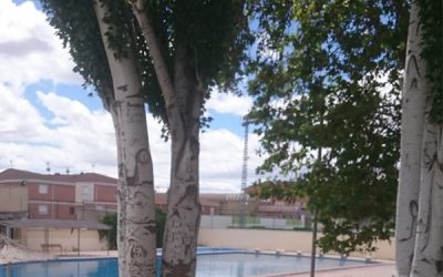 03630 sobre el estado de la piscina municipal de verano de Sax y las catas a realizar