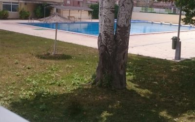 Tres empresas optan a las obras de reforma de la piscina