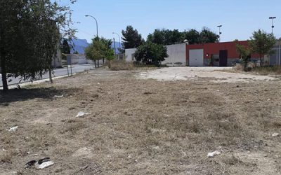 Desbroce de maleza en solares municipales, cunetas y laterales de caminos urbanos y rurales