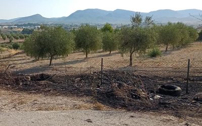 La Diputación destina 250.000 euros para redactar los planes de prevención de incendios forestales de 40 municipios de la provincia