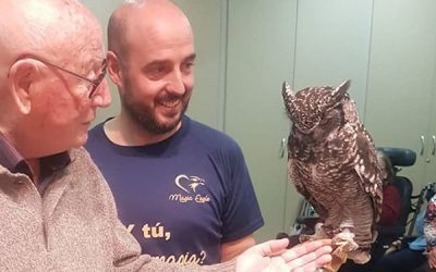 Magic-Eagle, comunica que durante el verano no se realizarán terapias en centros de la tercera edad
