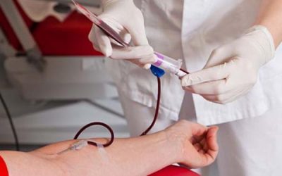 Próxima colecta de donación de sangre en Sax para el martes 20 de septiembre