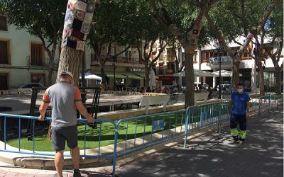 El Ayuntamiento decide llevar a cabo una poda severa de los olmos de la plaça de Baix para garantizar la seguridad
