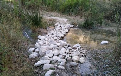 Petrer acondiciona la Rambla de Puça y de Caprala con diferentes mejoras en el entorno natural