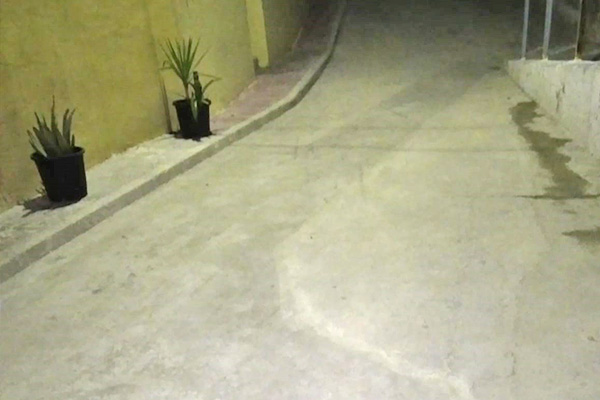 Calle Olivo Sax