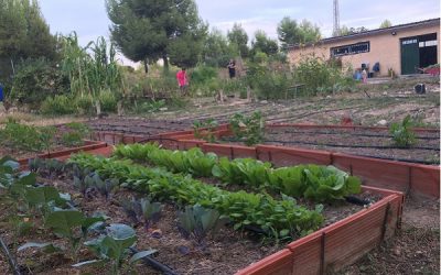 Sax amplía los Huertos Urbanos Municipales con 29 nuevas parcelas e instalará una red de riego interior