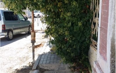 Ciudadanos Sax critica la prórroga del contrato de parques y jardines