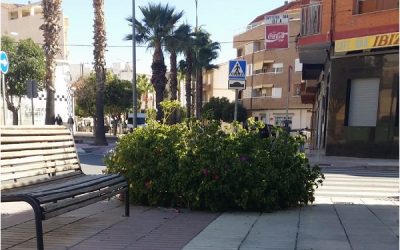 Tres positivos en Sax, tras la última actualización de los datos de la pandemia facilitados por la Conselleria de Sanidad