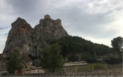 Actuación en el paraje natural “Ladera del Castillo de Sax” para la conservación de la biodiversidad