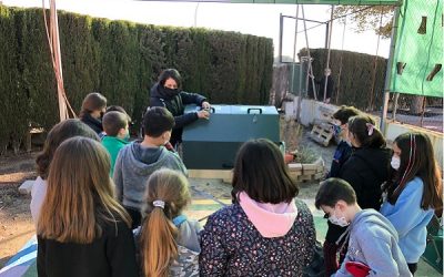 El colegio Alberto Sols de Sax empieza su proyecto de creación de compostaje