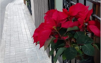 Menos luces esta navidad 2021 en Sax y más ayuda para la gente sin recursos