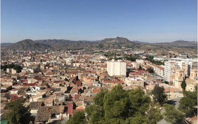El Ayuntamiento de Petrer cierra año abonando 377.114 € en las subvenciones de 2020 a diferentes programas