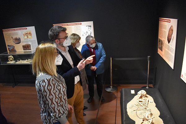 El Museo Dámaso Navarro estrena su sala de exposiciones temporales con la muestra “Cuidar, curar, morir. La enfermedad leída en los huesos”