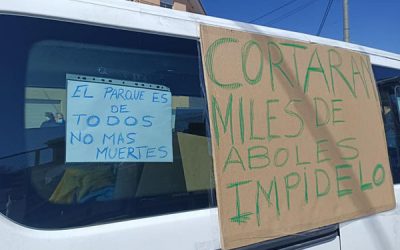Vecinos de Salinas se manifiestan contra la tala de árboles en la Sierra de Salinas