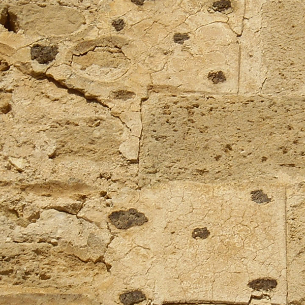 La heráldica de Portugal en el Castillo de Sax