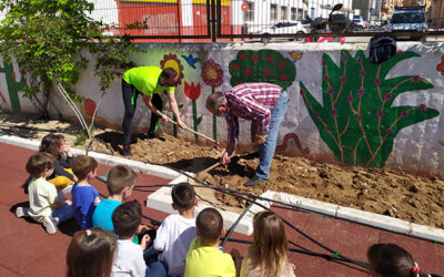 El Huerto Escolar, un proyecto del alumnado sajeño que ya da sus frutos
