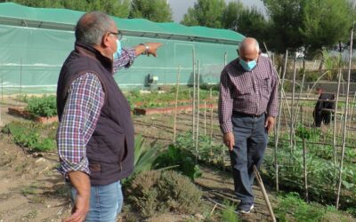 Curso de agricultura ecológica y huertos urbanos en Sax