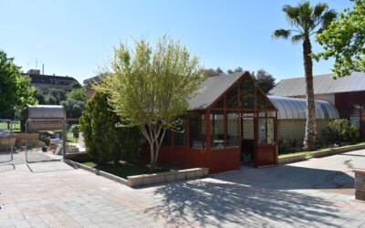 Petrer reforma de manera integral la cantina-bar del polideportivo municipal por primera vez desde su apertura como cantina en 1986