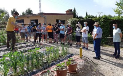 Sax celebra un curso de agricultura ecológica y huertos urbanos