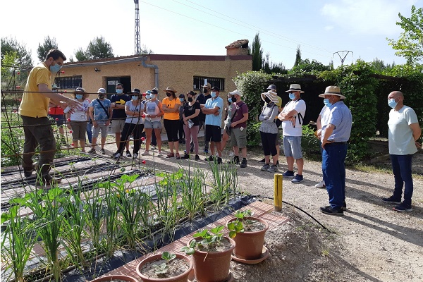 Sax celebra un curso de agricultura ecológica y huertos urbanos