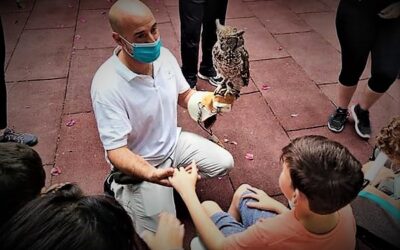 Alumnos de educación especial de Elche participan junto a Magic Eagle en un proyecto con aves rapaces