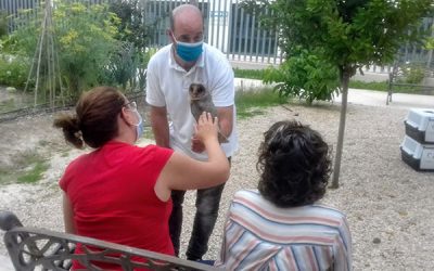 Magic Eagle realiza una intervención con aves de terapia junto a usuarios de salud mental y geriatría de Elda