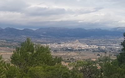 La Diputación destina 200.000 euros para ayudar a los municipios a triturar restos de poda y mejorar sus parajes