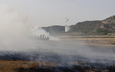 Un incendio arrasa con mas de 15.000 m2 de matorral en Sax
