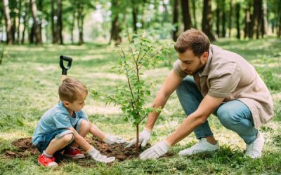 Plantar un árbol por cada niño que nazca en Sax para luchar contra el cambio climático