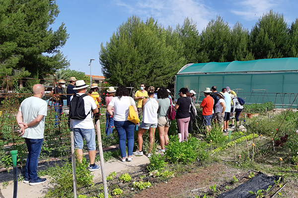 Nuevos cursos de agricultura ecológica y huertos urbanos en Sax