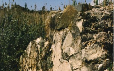 El Pantano de la Parada en el Siglo XVIII