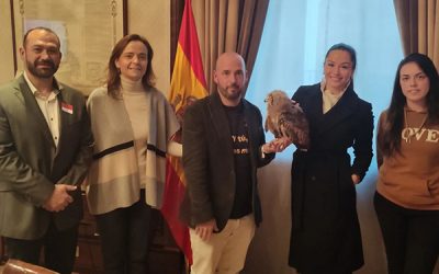 Las terapias con aves rapaces de Magic Eagle llegan al Congreso de los Diputados