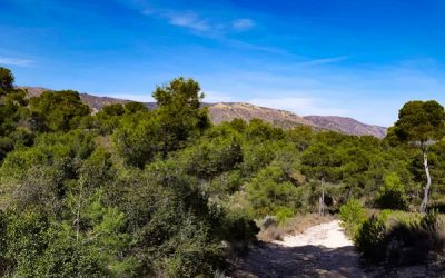 La Asociación Stop Plan Solar Vinalopó y la Asociación de Vecinos de Salinas organizan una actividad original: un safari energético y una cata de vinos