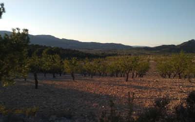 El alto de Camara amenazado por macroplantas solares