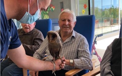 Sesión de terapia con aves rapaces organizada la asociación “Magic Eagle” en Sax