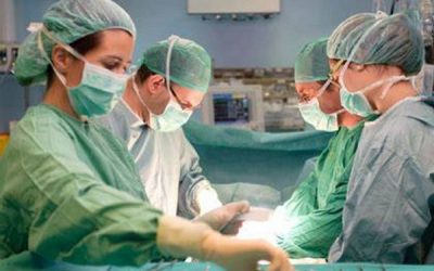 Nueve de cada 10 familias valencianas dan su consentimiento a la donación de órganos