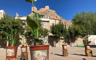 Un centro educativo de Sax será galardonado en los premios anuales de la Cadena Ser en Elda