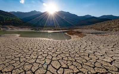 La UA reúne en Sax a expertos en desertificación y plantea iniciativas para evitarla o corregirla