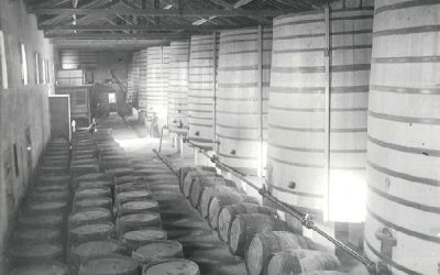 La producción de vino en Sax en 1886
