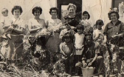 Estampas cotidianas del viejo Sax, “La cría del gusano de seda”